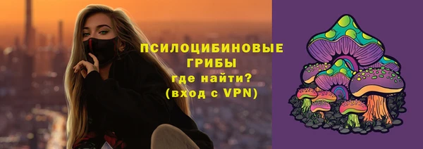 дурь Арсеньев