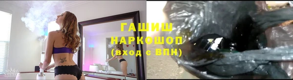 гашик Аркадак