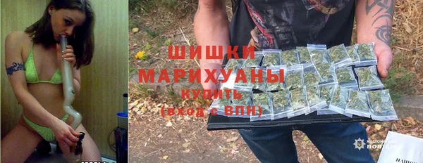 гашик Аркадак